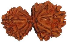 Ganesh Rudraksha